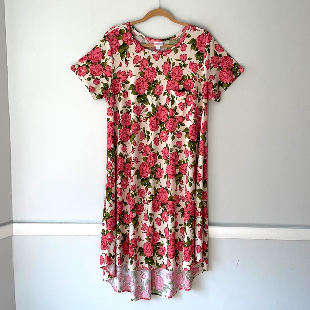 LuLaRoe Floral Carly Dress Size L